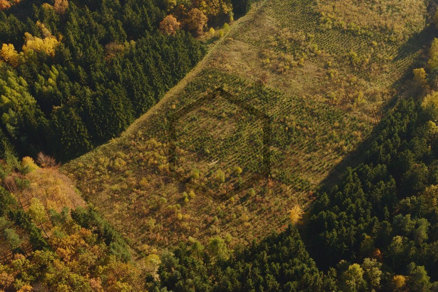 JZ-20131019-153441_01