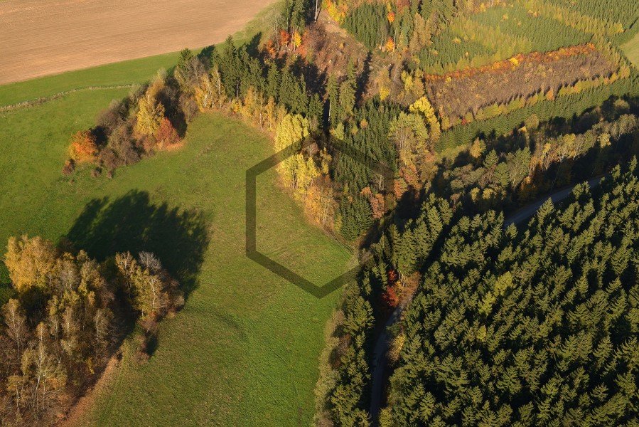 JZ-20131019-152847_01