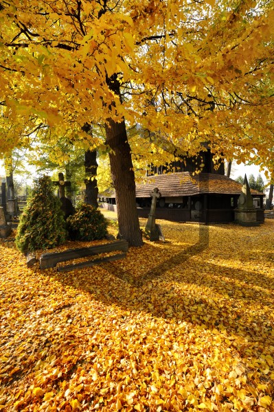 JZ-20081009-153026-01