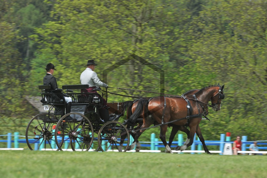 JZ-20130517-123725_01