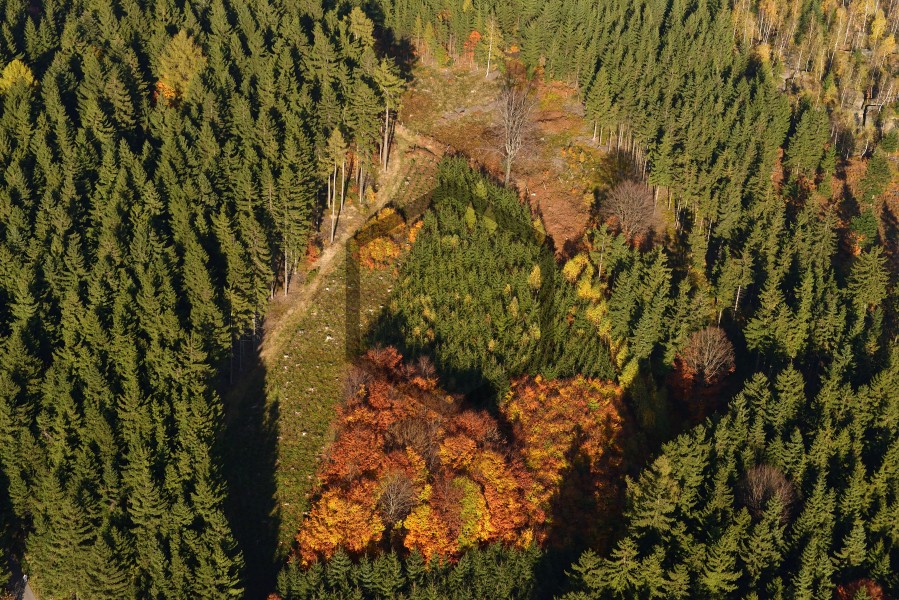 JZ-20131019-152314_02